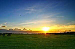 leavingyourheartonthefield.vicdv888