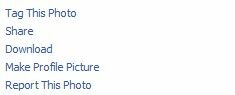 facebook expands photo tagging